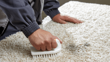 Professional Rug Cleaning Templestowe